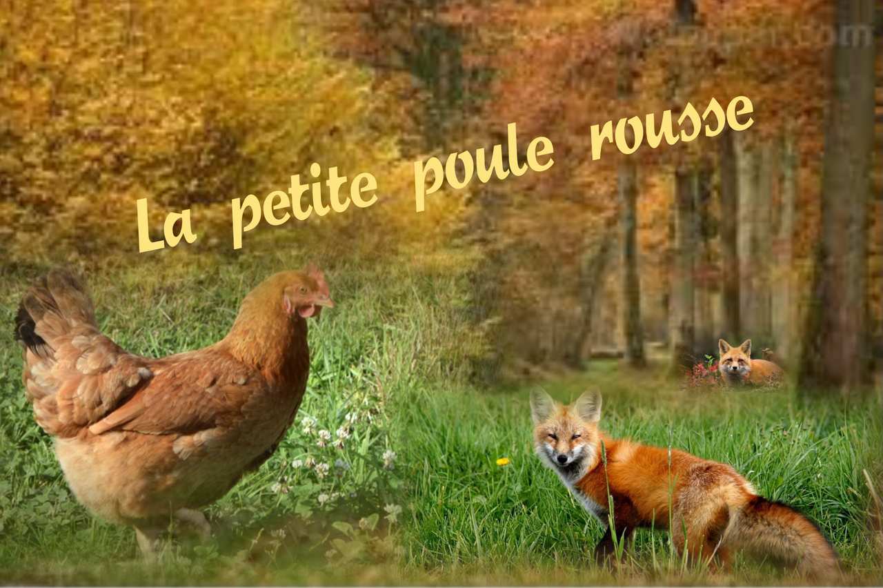 La petite poule rousse contée par Martine